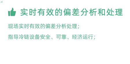 實(shí)時(shí)有效的偏差分析和處理：實(shí)時(shí)有效的偏差處理； 指導(dǎo)冷鏈設(shè)備安全、可靠、經(jīng)濟(jì)運(yùn)行；